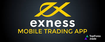 Exness South Africa Your Gateway to Trading Excellence